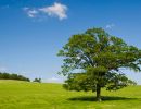 sauerland landschaft4 foto sabrinity.com  smal 