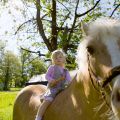 sauerland maedchen auf pferd foto tanja evers  smal 